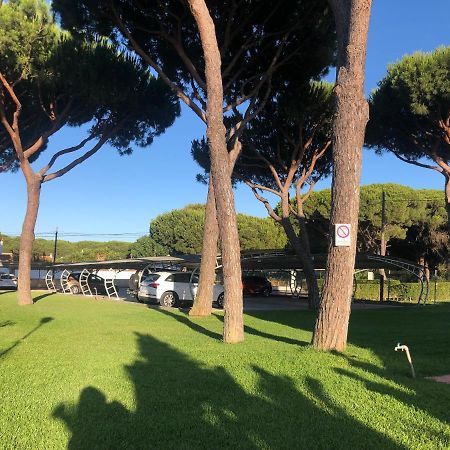 Calma La Barrosa Apartamento 奇克拉纳－德拉弗龙特拉 外观 照片